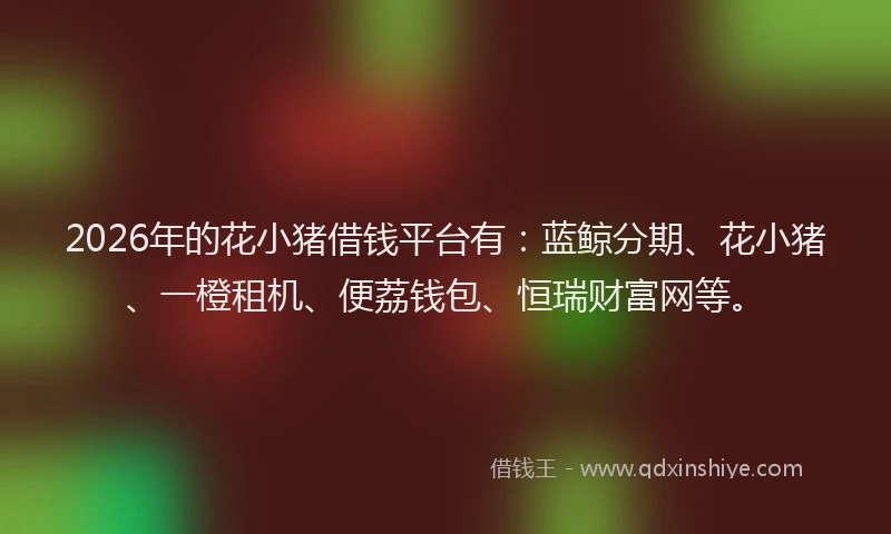 2026年的花小猪借钱平台有：蓝鲸分期、花小猪、一橙租机、便荔钱包、恒瑞财富网等。
