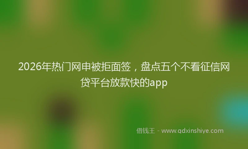 2026年热门网申被拒面签，盘点五个不看征信网贷平台放款快的app