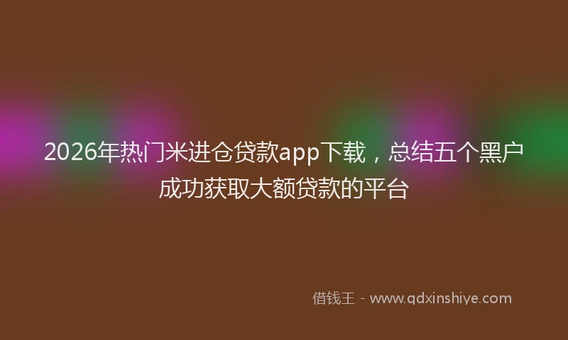 2026年热门米进仓贷款app下载，总结五个黑户成功获取大额贷款的平台