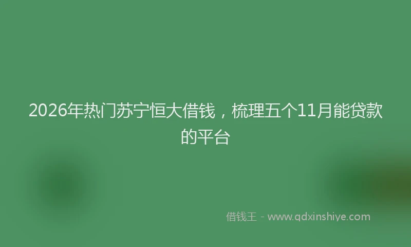 2026年热门苏宁恒大借钱，梳理五个11月能贷款的平台