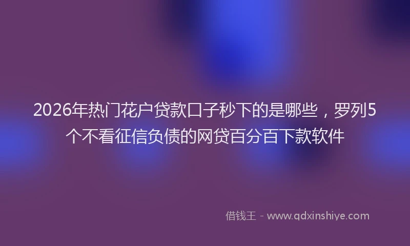 2026年热门花户贷款口子秒下的是哪些，罗列5个不看征信负债的网贷百分百下款软件