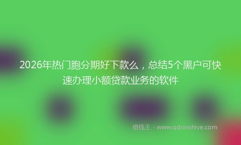 2026年热门胞分期好下款么，总结5个黑户可快速办理小额贷款业务的软件