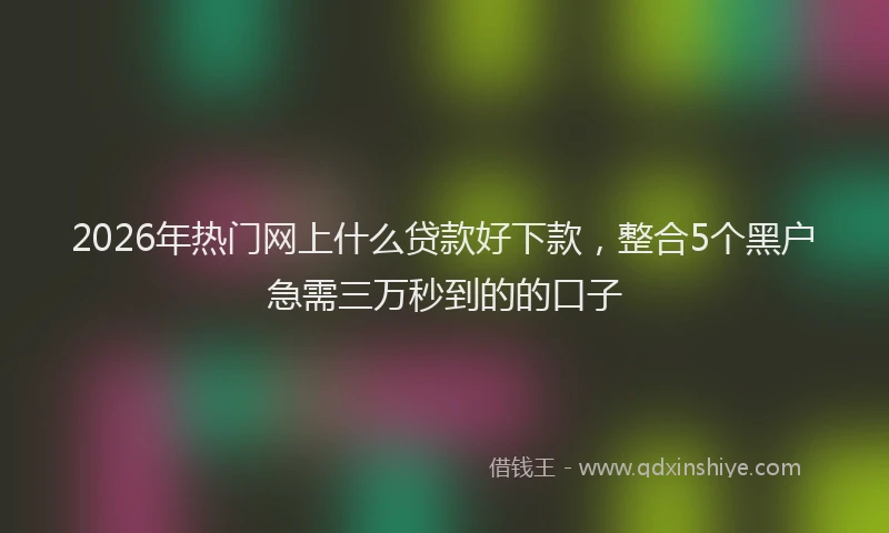2026年热门网上什么贷款好下款，整合5个黑户急需三万秒到的的口子