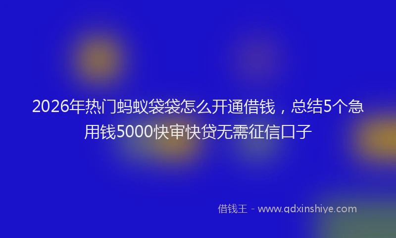 2026年热门蚂蚁袋袋怎么开通借钱，总结5个急用钱5000快审快贷无需征信口子