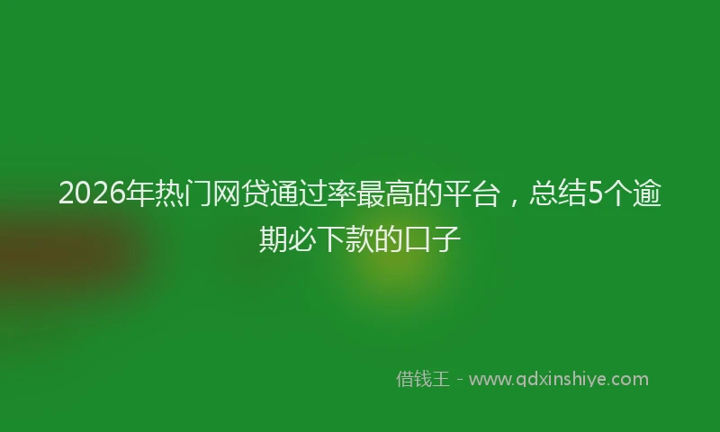 2026年热门网贷通过率最高的平台，总结5个逾期必下款的口子