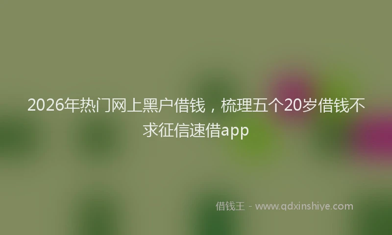 2026年热门网上黑户借钱，梳理五个20岁借钱不求征信速借app