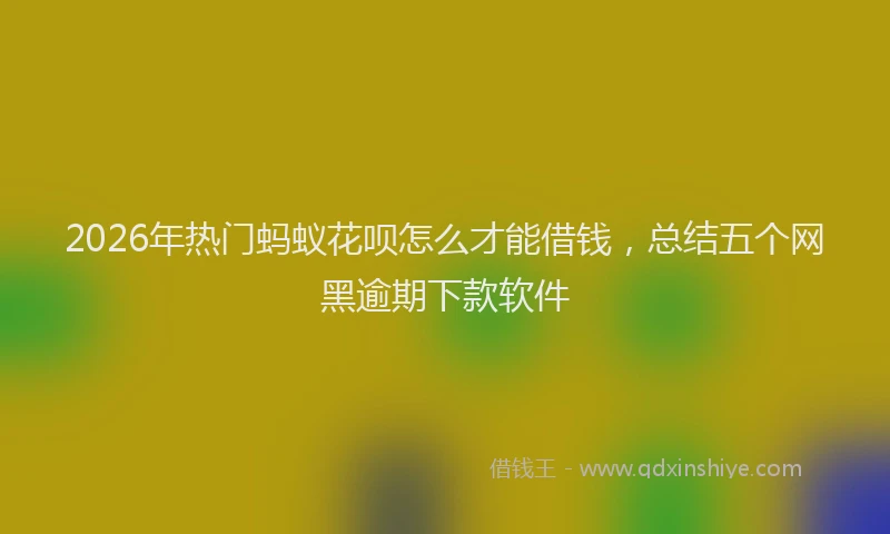 2026年热门蚂蚁花呗怎么才能借钱，总结五个网黑逾期下款软件