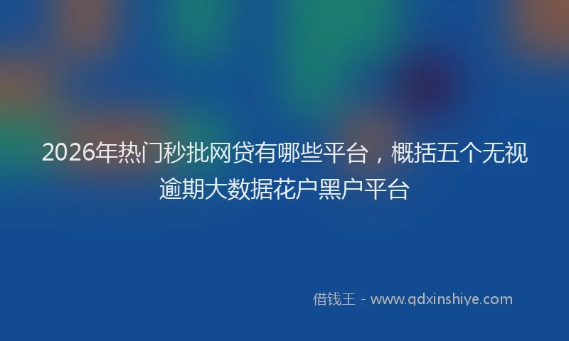 2026年热门秒批网贷有哪些平台，概括五个无视逾期大数据花户黑户平台