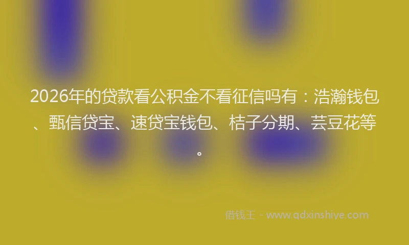 2026年的贷款看公积金不看征信吗有：浩瀚钱包、甄信贷宝、速贷宝钱包、桔子分期、芸豆花等。