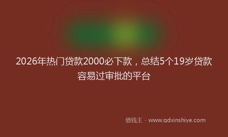 2026年热门贷款2000必下款，总结5个19岁贷款容易过审批的平台