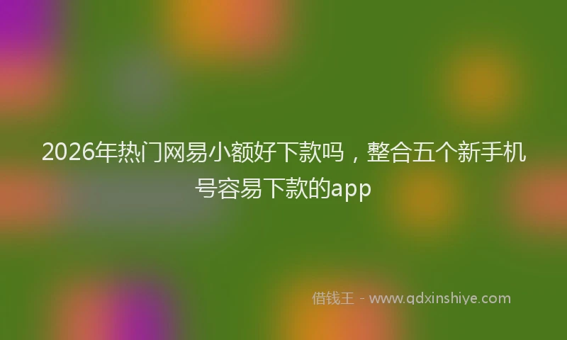 2026年热门网易小额好下款吗，整合五个新手机号容易下款的app