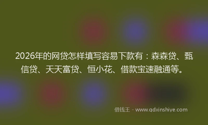 2026年的网贷怎样填写容易下款有：森森贷、甄信贷、天天富贷、恒小花、借款宝速融通等。