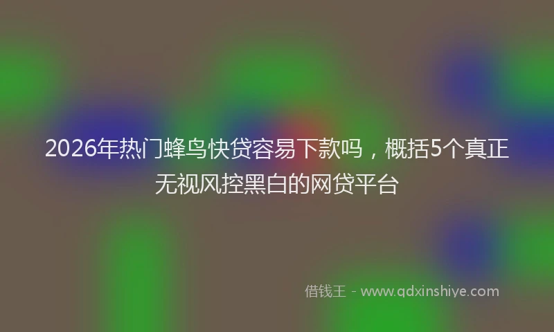 2026年热门蜂鸟快贷容易下款吗，概括5个真正无视风控黑白的网贷平台
