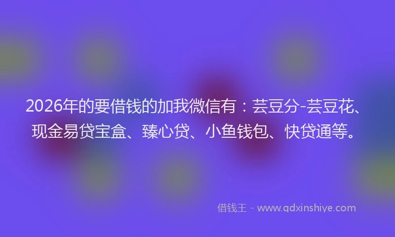 2026年的要借钱的加我微信有：芸豆分-芸豆花、现金易贷宝盒、臻心贷、小鱼钱包、快贷通等。