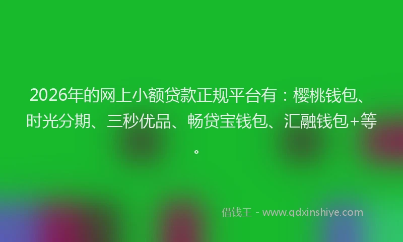 2026年的网上小额贷款正规平台有：樱桃钱包、时光分期、三秒优品、畅贷宝钱包、汇融钱包+等。