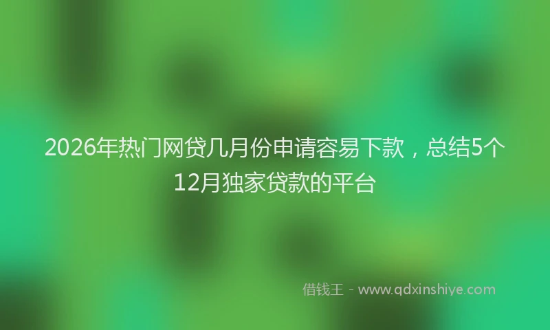 2026年热门网贷几月份申请容易下款，总结5个12月独家贷款的平台