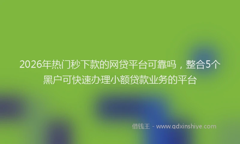 2026年热门秒下款的网贷平台可靠吗，整合5个黑户可快速办理小额贷款业务的平台