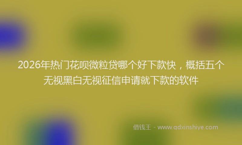 2026年热门花呗微粒贷哪个好下款快，概括五个无视黑白无视征信申请就下款的软件