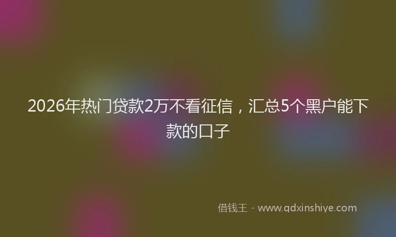 2026年热门贷款2万不看征信，汇总5个黑户能下款的口子