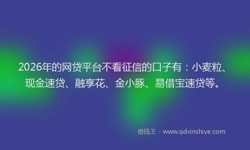 2026年的网贷平台不看征信的口子有：小麦粒、现金速贷、融享花、金小豚、易借宝速贷等。