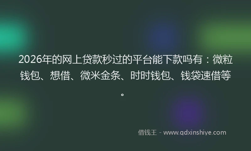2026年的网上贷款秒过的平台能下款吗有：微粒钱包、想借、微米金条、时时钱包、钱袋速借等。