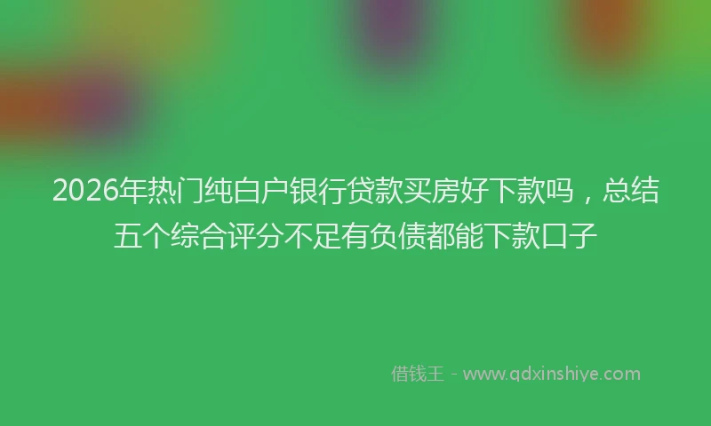 2026年热门纯白户银行贷款买房好下款吗，总结五个综合评分不足有负债都能下款口子