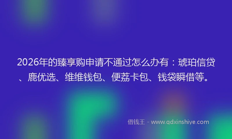 2026年的臻享购申请不通过怎么办有：琥珀信贷、鹿优选、维维钱包、便荔卡包、钱袋瞬借等。