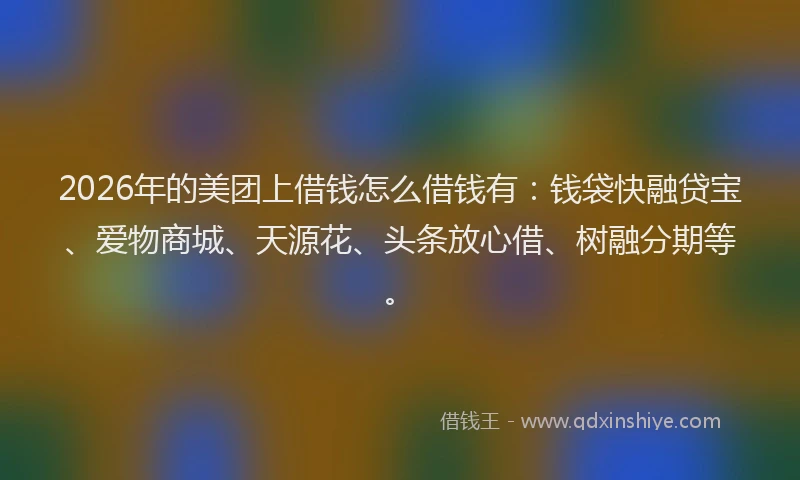 2026年的美团上借钱怎么借钱有：钱袋快融贷宝、爱物商城、天源花、头条放心借、树融分期等。