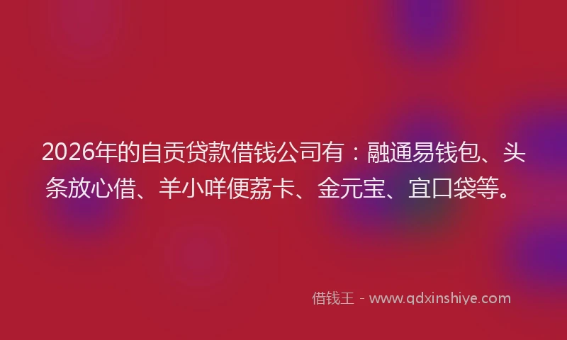 2026年的自贡贷款借钱公司有：融通易钱包、头条放心借、羊小咩便荔卡、金元宝、宜口袋等。