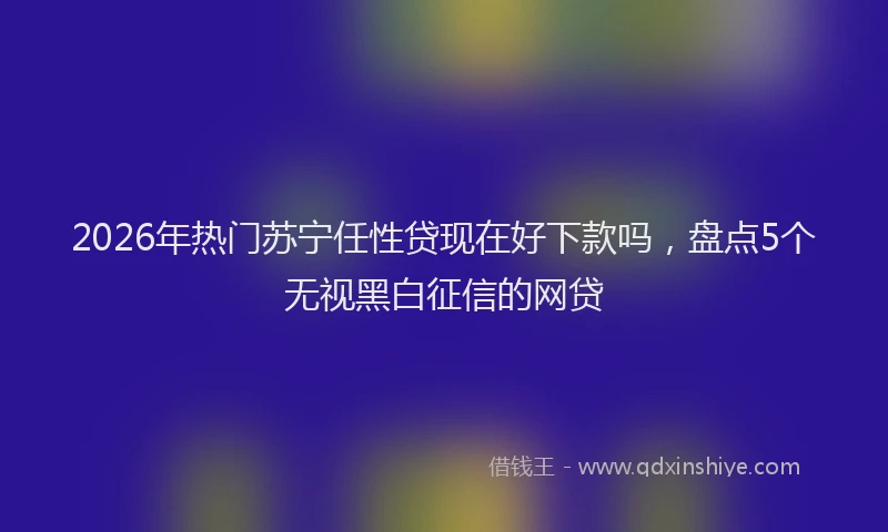 2026年热门苏宁任性贷现在好下款吗，盘点5个无视黑白征信的网贷