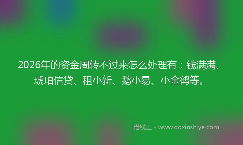 2026年的资金周转不过来怎么处理有：钱满满、琥珀信贷、租小新、鹅小易、小金鹤等。