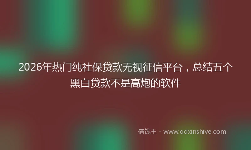 2026年热门纯社保贷款无视征信平台，总结五个黑白贷款不是高炮的软件