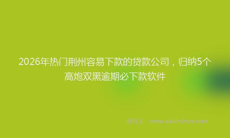 2026年热门荆州容易下款的贷款公司,归纳5个高炮双黑逾期必下款软件