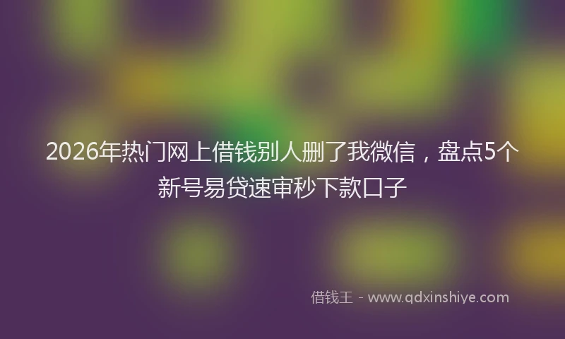 2026年热门网上借钱别人删了我微信，盘点5个新号易贷速审秒下款口子