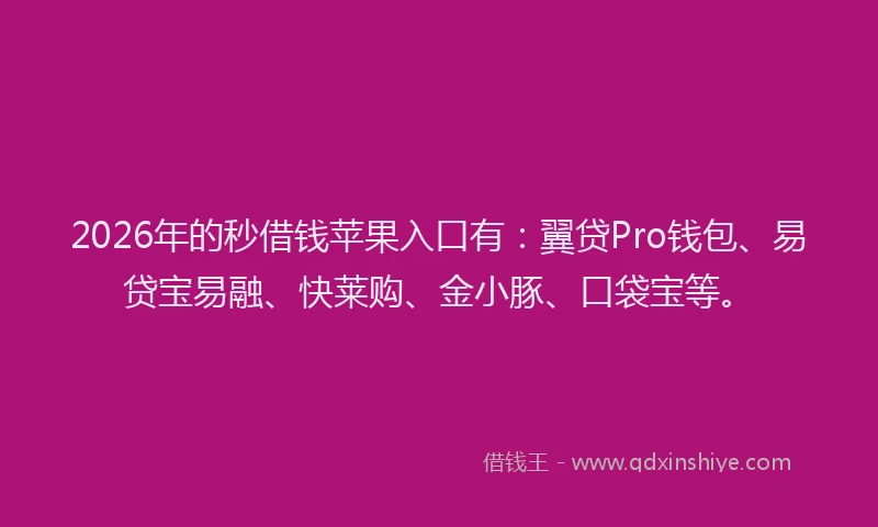 2026年的秒借钱苹果入口有：翼贷Pro钱包、易贷宝易融、快莱购、金小豚、口袋宝等。