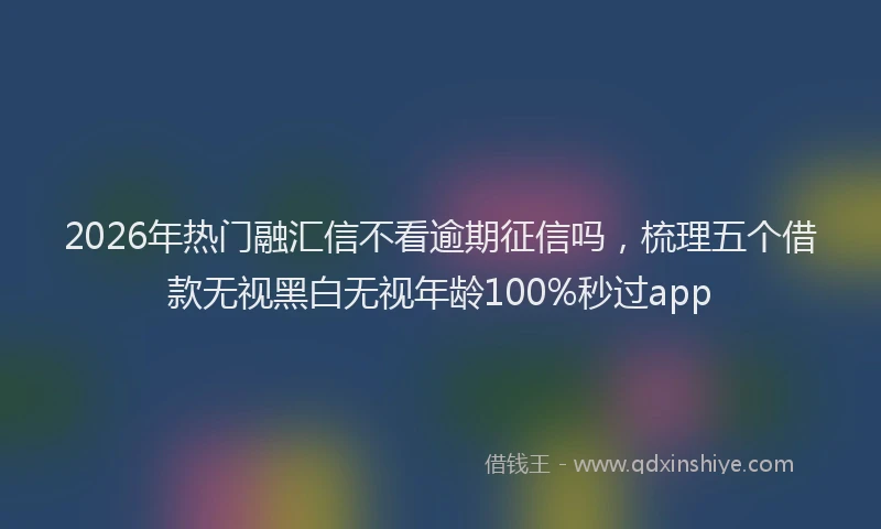 2026年热门融汇信不看逾期征信吗，梳理五个借款无视黑白无视年龄100%秒过app