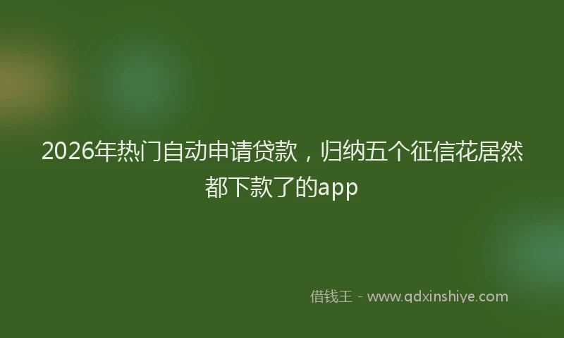 2026年热门自动申请贷款，归纳五个征信花居然都下款了的app