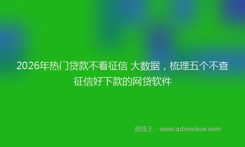 2026年热门贷款不看征信 大数据，梳理五个不查征信好下款的网贷软件