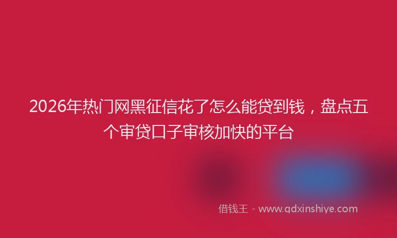 2026年热门网黑征信花了怎么能贷到钱，盘点五个审贷口子审核加快的平台