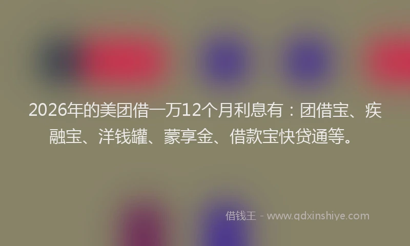 2026年的美团借一万12个月利息有：团借宝、疾融宝、洋钱罐、蒙享金、借款宝快贷通等。
