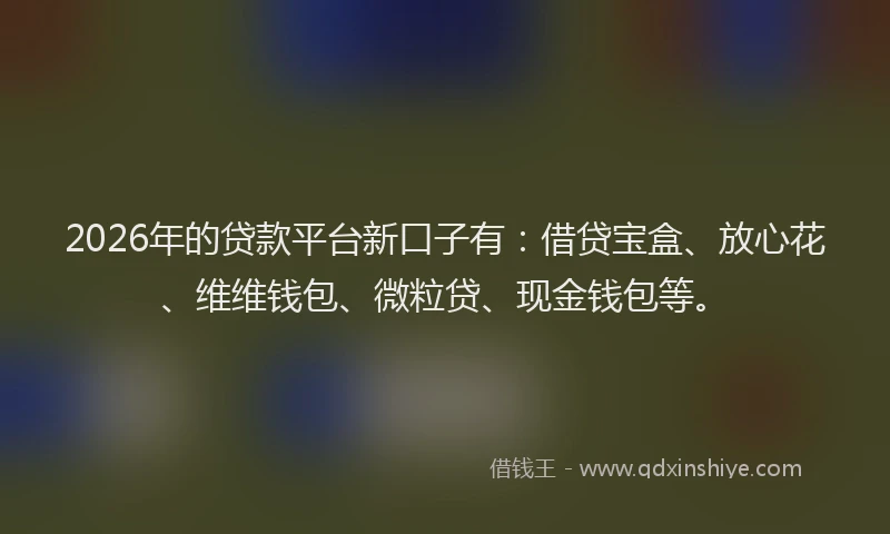 2026年的贷款平台新口子有：借贷宝盒、放心花、维维钱包、微粒贷、现金钱包等。