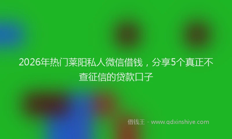 2026年热门莱阳私人微信借钱，分享5个真正不查征信的贷款口子
