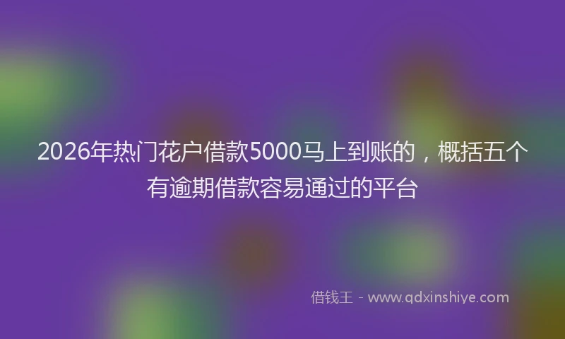 2026年热门花户借款5000马上到账的，概括五个有逾期借款容易通过的平台