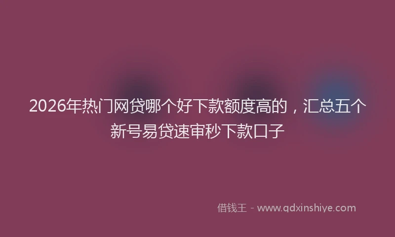 2026年热门网贷哪个好下款额度高的，汇总五个新号易贷速审秒下款口子
