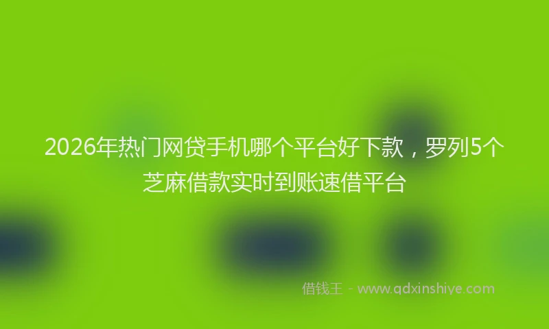 2026年热门网贷手机哪个平台好下款，罗列5个芝麻借款实时到账速借平台