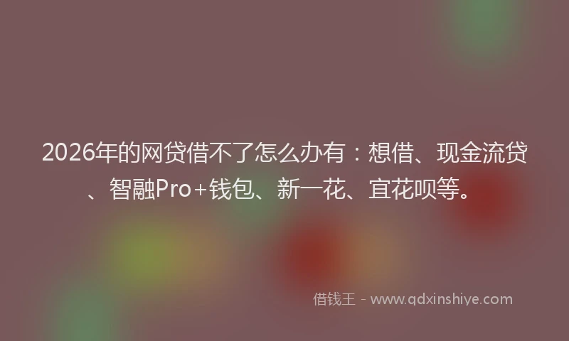 2026年的网贷借不了怎么办有：想借、现金流贷、智融Pro+钱包、新一花、宜花呗等。