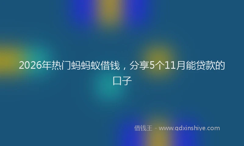 2026年热门蚂蚂蚁借钱，分享5个11月能贷款的口子