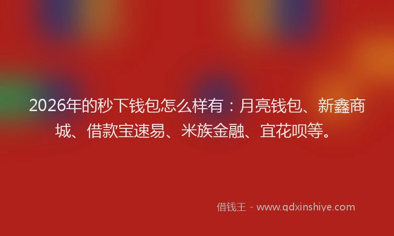 2026年的秒下钱包怎么样有：月亮钱包、新鑫商城、借款宝速易、米族金融、宜花呗等。