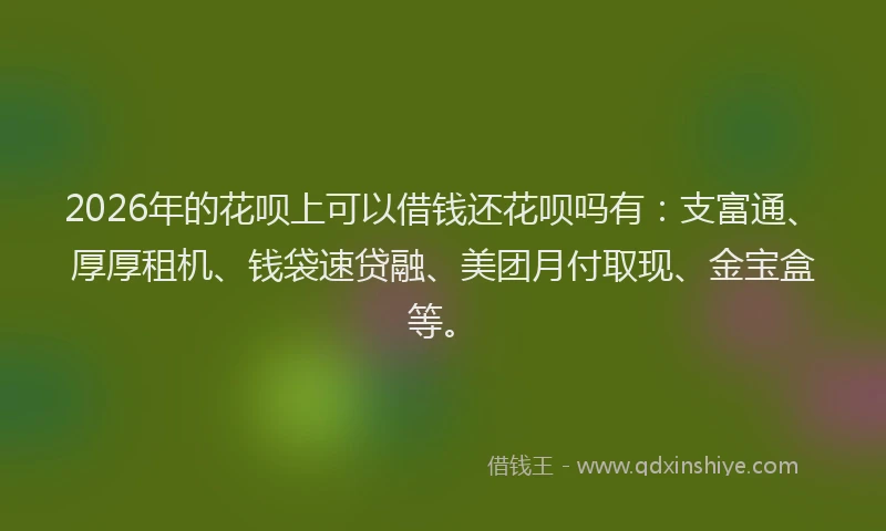 2026年的花呗上可以借钱还花呗吗有：支富通、厚厚租机、钱袋速贷融、美团月付取现、金宝盒等。