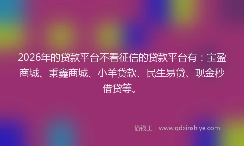 2026年的贷款平台不看征信的贷款平台有：宝盈商城、秉鑫商城、小羊贷款、民生易贷、现金秒借贷等。